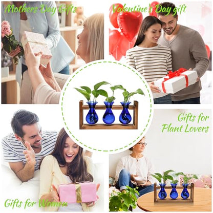 Plant Propagation Station Plant Terrarium Unique Birthday Gifts for Women - color: Blue