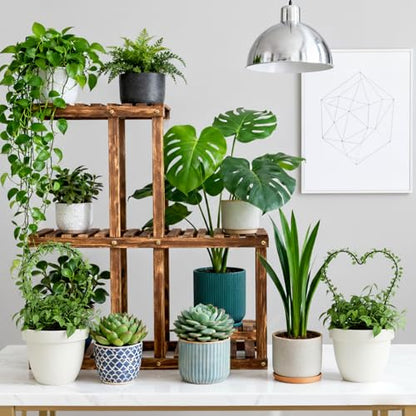 Trellis for Potted Plants, Small House Plant Support, Indoor Plant Trellis for Climbing Plants (Circle and Heart Shape)