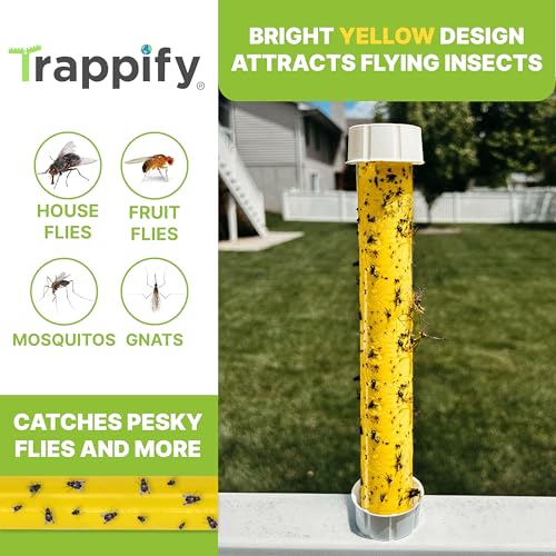 Trappify Hanging Fly Trap & Fruit Fly Traps for Indoors, Yellow, 2 Pack - size: Pack 2