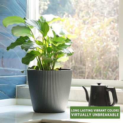 Dexceder 11x10 Self Watering Planters Indoor (2 Pack, Gray) - color: Gray, size: 11x10