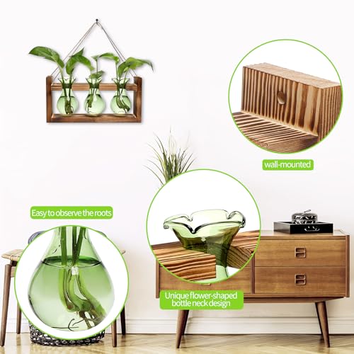 Plant Propagation Station Plant Terrarium Unique Birthday Gifts for Women - color: Green