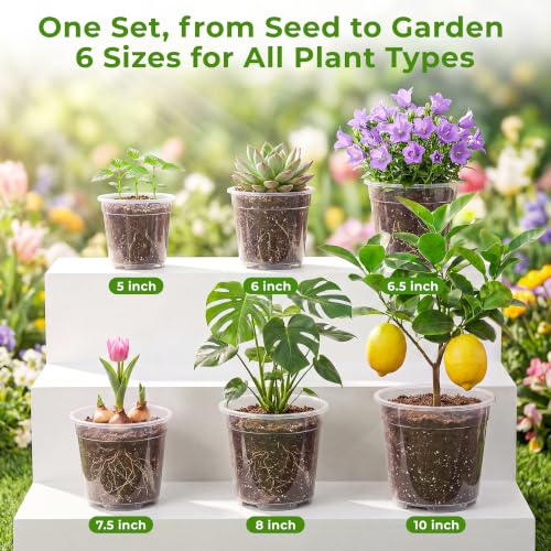 Sturdy 12 Pack Clear Nursery Pots 5/6/6.5/7.5/8/10 Inch with Drainage Holes