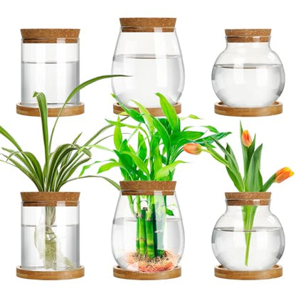 6 Pcs Glass Plant Propagation Station with Wood Lid & Stand, Classic Style - style: Classic