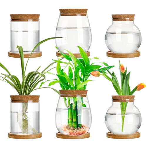 6 Pcs Glass Plant Propagation Station with Wood Lid & Stand, Classic Style - style: Classic
