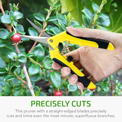 iPower 6.5'' 3 Pack Garden Hand Pruner Shears with Straight Stainless Steel Scissors, for Hydroponic Trimming Herb/Flowers/Vegetables/Plants, Yellow