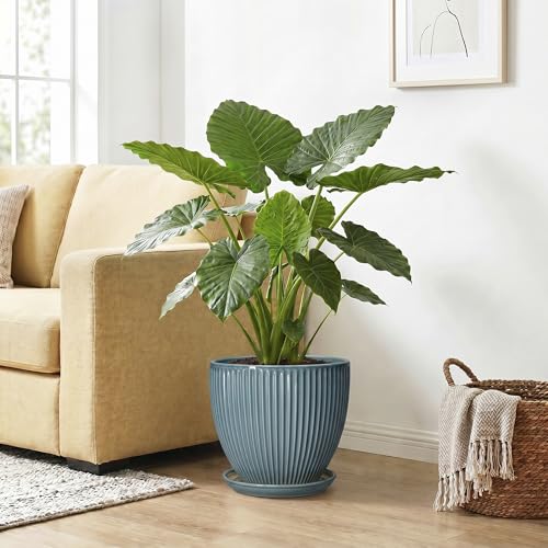 10 Inch Plant Pot, Ceramic Flower Pots with Saucer, Glaze Blue - color: Glaze Blue, size: 10 Inch