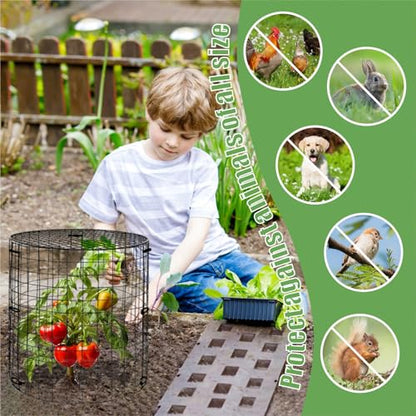 6 Packs Garden Plant Protectors from Animals,Metal Plant Cage, 11.8"x 12.6" - color: Black-6