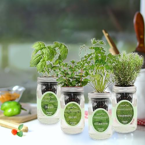 Hydroponic Herb Growing Kit Set, Self-Watering Mason Jar Herb Garden Starter Kit Indoor, Grow 4 Kinds of Herbs from Seeds (Basil, Mint, Cilantro & Rosemary)