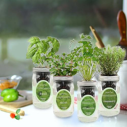 Hydroponic Herb Growing Kit Set, Self-Watering Mason Jar Herb Garden Starter Kit Indoor, Grow 4 Kinds of Herbs from Seeds (Basil, Mint, Cilantro & Rosemary)