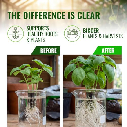 Microbe Life Hydroponics Premium Photosynthesis Plus to Grow Fruits, Vegetables, and Herbs, The Best Professional Big Bud Grow, Use with Any Feeding Systems Including Hydroponics or Soil, 16 Ounces - size: 0.125 Gallons
