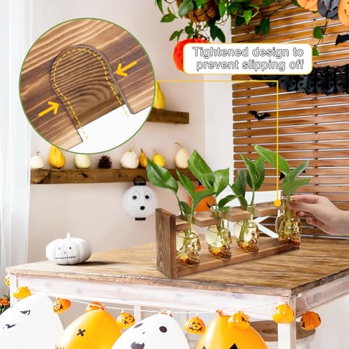 Plant Propagation Stations Halloween Skull Plant Terrarium Kit - color: Gold