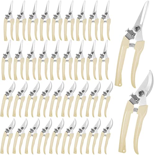 Amylove 24 Pcs Garden Flower Shears Pruning Scissors Valentine Heavy Duty Plant Scissor Garden Clippers Hand Bypass Pruner for Gardening Plants Hedge Tree Cutting Miniature Bonsai Modeling(Beige) - style: Beige