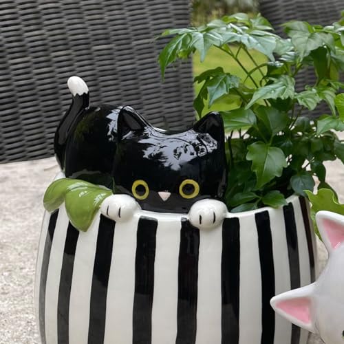 Streamline Imagined Ceramic Planter Pot for Succulent - Peek-A-Boo Kitty - Indoor - 6.75 x 6.75 x 6.75 inches - color: Black