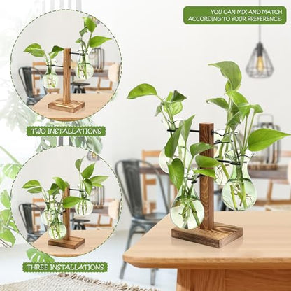 Plants Propagation Stations Bulb Glass Propagation Birthday Gift for Women - color: Green