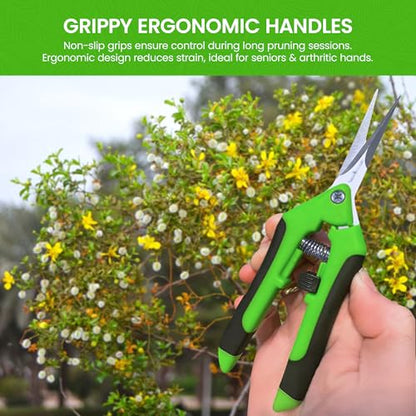 Garden Guru Razor Sharp Snip – Professional Garden Pruning Shears Trimmers Scissors – Super Sharp Micro-Tip Precision Stainless Steel Blades - Easy on Arthritic Hands - Soft Ergonomic Handles (2 Pack) - size: 2 Pack, style: Snips