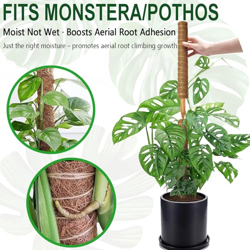 Soupiar 2 Pack 22 Inch Stackable Moss Pole - Thick & Sturdy Natural Coir Totem Plant Support & Garden Stakes for Monstera & Pothos, Indoor Climbing Vining Houseplants, 38" H Max - color: 2 × 22 Inch