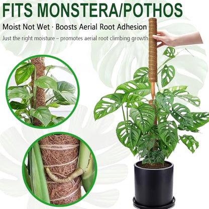 Soupiar 2 Pack 22 Inch Stackable Moss Pole - Thick & Sturdy Natural Coir Totem Plant Support & Garden Stakes for Monstera & Pothos, Indoor Climbing Vining Houseplants, 38" H Max - color: 2 × 22 Inch
