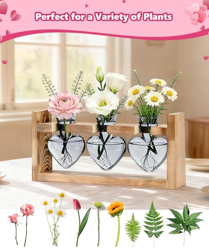 Nacome Plant Terrarium with Wooden Stand, 3 Heart Bulb Glass Vases - color: Light Gray