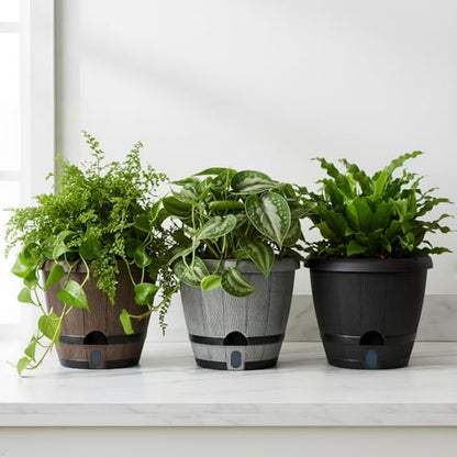 Sun-E Self Watering Whiskey Barrel Planters for Indoor Outdoor 10" X 3 Pack - color: Mix Colour Set