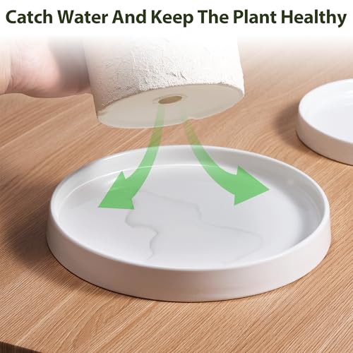Ceramic Plant Saucer 6.5 Inch 2 Pack White, Fits Pot Base Under 6 Inch - size: 6.5in 2pack