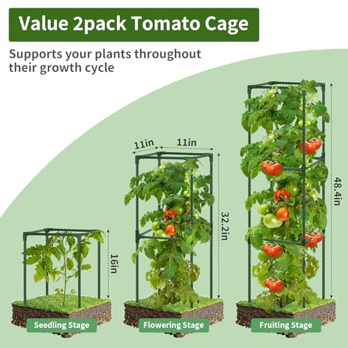 ROADPLUM 2 Pack 48" Tomato Cage for Garden, Heavy Duty Adjustable Plastic Coated Steel Pipe Tomato Stakes Trellis Plant Cages for Vegetable, Fruit, Flower, Rose Vine Climbing Plants - size: 2 PACK