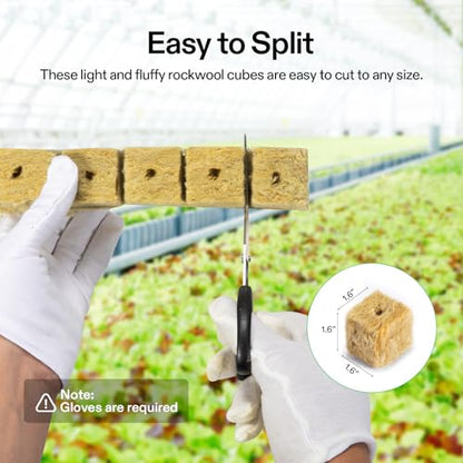 VIVOSUN 1.6" Rockwool Cubes, 8 Sheets of 224 Plugs Stonewool Starter - size: 1.6"-224 Plugs