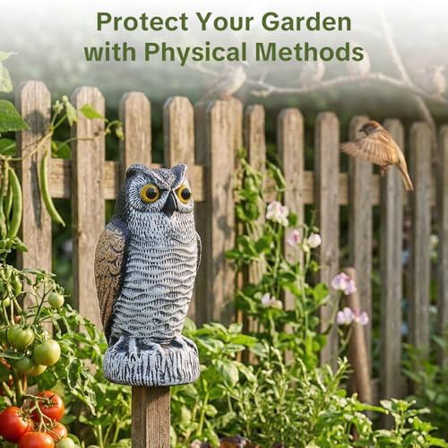 OFFO Realistic Owl Statue, Hand-Painted Garden Owl Decor, 10 Inch - size: 10 in