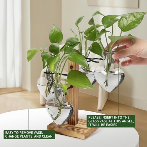 Plant Terrarium Propagation Stations with Wooden Stand - color: Grey
