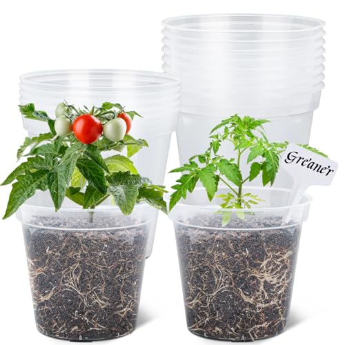 GREANER 6 Inch Nursery Pots, 15 Packs Clear Seeding Pots, Reinforced Plastic Nursery Pots with Drainage Holes, Transparent Garden Pots Planter for Indoors Outdoor Plants(20 Pcs Plant Labels) - color: 15pcs/Clear, size: 6inch