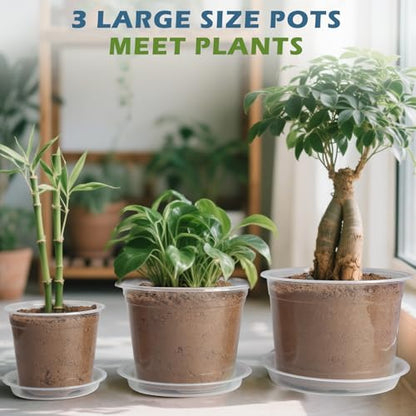 6/8/10 Inch Large Size Clear Nursery Pots with Drainage and Saucers, 9 Pack Plastic Plant Pots for Seedling Starter, Durable Plastic Pots for Indoors - size: 6810inch-9pcs