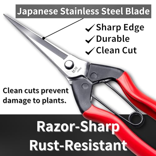 Japanese Garden Shears Long Blade 7.9" for Plants - Needle Nose Pruners with Pointed Tips - Sharp Japanese Stainless Steel Blade & Spring Loaded Handle - Made in Japan - style: Trimming (Long Blade)