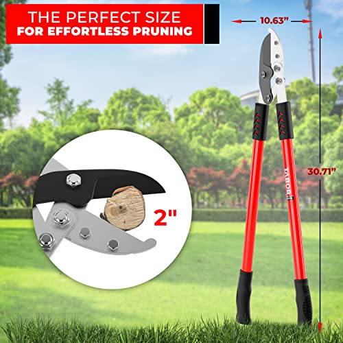 TABOR TOOLS GG12A Anvil Lopper with Compound Action, 30 Inch Tree Trimmer & Branch Cutter, Heavy Duty Tree Pruner with 2 Inch Cut Capacity, Chops Thick Dry Branches with Ease - style: GG12A 30 Inch Anvil Lopper with lever