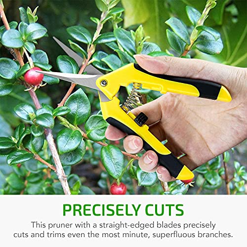 iPower 6.5 Inch Gardening Scissors Hand Pruner Pruning Shear with Straight Stainless Steel Blades, Yellow, 2-Pack - color: Yellow, size: 2-pack