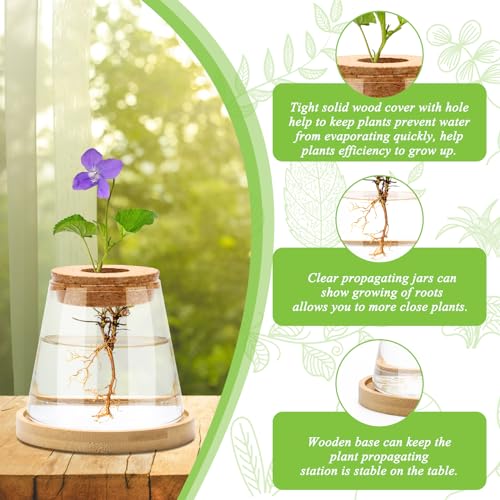 2 Pcs Plants Propagation Station, Desktop Glass Planter Station
