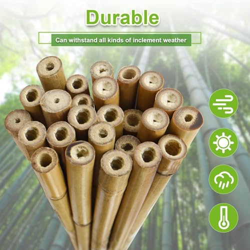 Jollybower 25pcs 1/2" D Thicker Heavy Duty Bamboo Stakes, 4.75FT Plant Stakes, Natural Garden Stakes for Tomato, Bean, Flowers,Trees Potted and Climbing Plant Support - size: 4.75Ft, Pack of 25