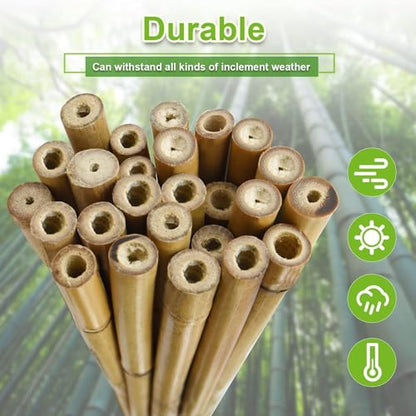 Jollybower 25pcs 1/2" D Thicker Heavy Duty Bamboo Stakes, 4.75FT Plant Stakes, Natural Garden Stakes for Tomato, Bean, Flowers,Trees Potted and Climbing Plant Support - size: 4.75Ft, Pack of 25