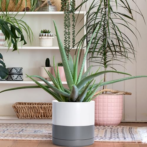 D'vine Dev 2-Pack Ceramic Pots with Saucers, 8/10 in, White/Grey, 94-G-L-6 - color: White/Speckled Grey, size: Large