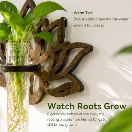 Artilady Plant Propagation Station Wall Hanging, Planter Terrariums Tube - color: Lotus