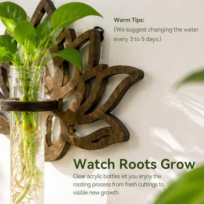 Artilady Plant Propagation Station Wall Hanging, Planter Terrariums Tube - color: Lotus