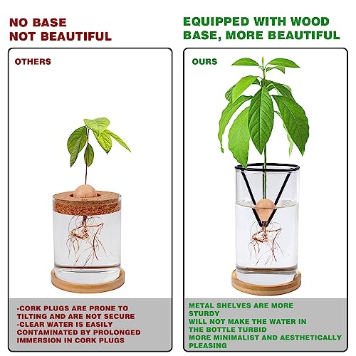 Bylion 2 Pack Avocado Growing Kits Avocado Seed Starter - color: Black