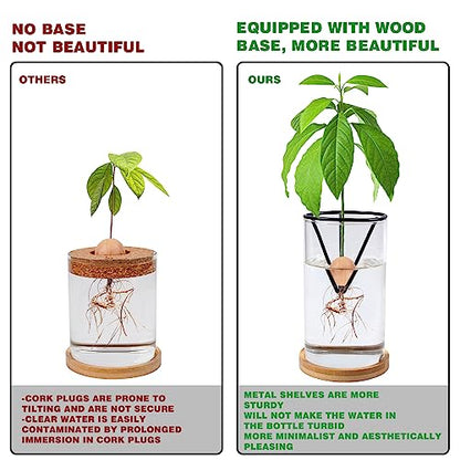Bylion 2 Pack Avocado Growing Kits Avocado Seed Starter - color: Black