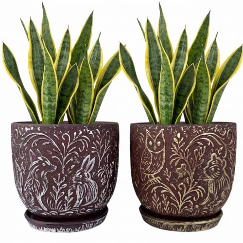 Decorative Ceramic Planter Pot with Saucer, Brown with Gold and Silver Owl Pattern, Indoor Garden Container with Drainage (G&S, 6 inch) - color: G&s, size: 6 inch