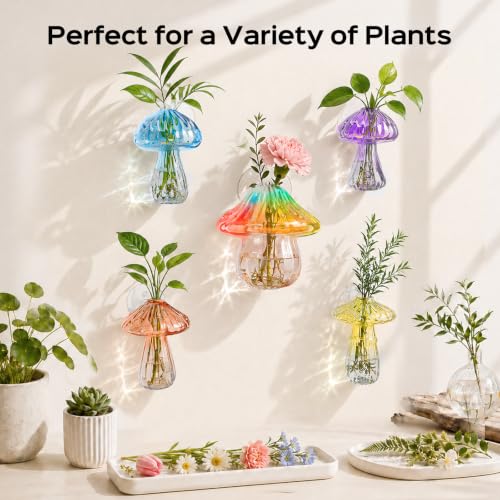 5Pcs Mushroom Propagation, Borosilicate Glass Vases, 6kg Suction Cups - color: Blue,yellow,purple,coffee,rainbow