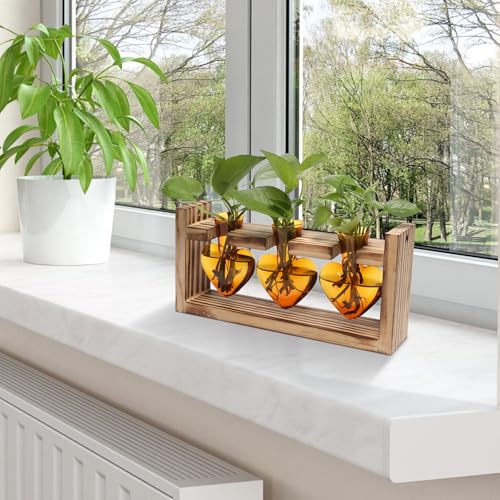 Plant Terrarium Propagation Stations Hydroponics - color: Amber