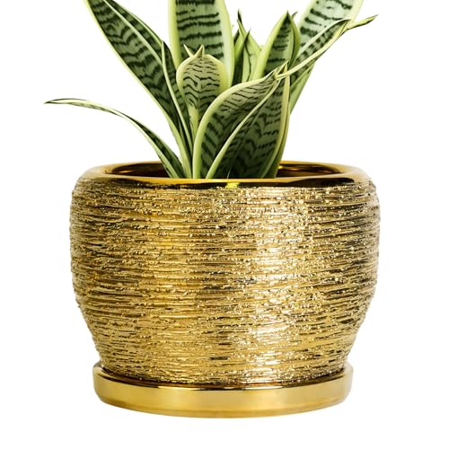 SQOWL Ceramic Planter - 6 Inch Plant Pot Indoor Outdoor, Modern Round Planter with Drainage Hole and Plant Saucer, Decorative Small Flower Pot, Home Decor, Birthday Gifts, Gold - color: Golden, size: 6 Inch