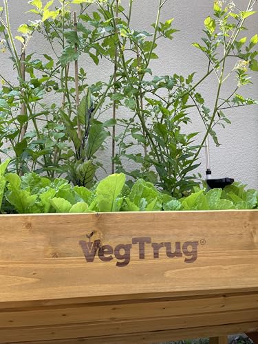 VegTrug Self Watering Kit for Wall Hugger Medium 1.8m Planter, Black - Reservoir System with Water Level Indicator, Prevents Overwatering, Easy Fill Tube & Funnel, Durable Plastic Construction - size: Medium 1.8m