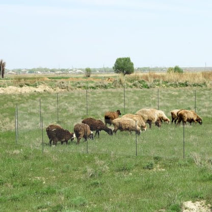 Non Electric Fence Netting 40" x100' Poultry Fence with Double Spiked Post - size: 40in x 100ft