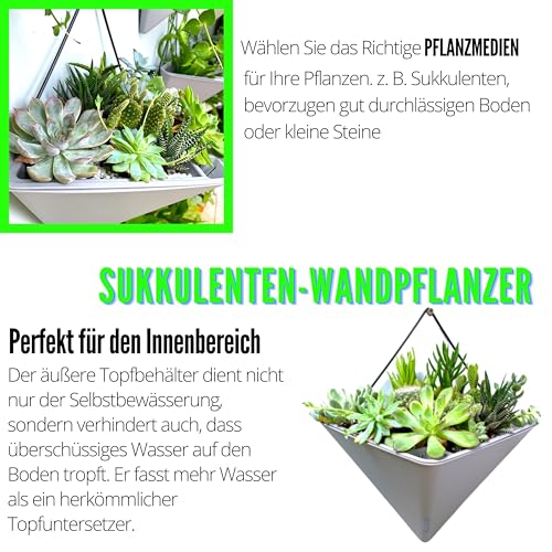 LaLaGreen Succulent Wall Planters (12in, 2 Pack) Large Self Watering Pots - color: Gray X 2 Pack
