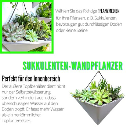 LaLaGreen Succulent Wall Planters (12in, 2 Pack) Large Self Watering Pots - color: Gray X 2 Pack
