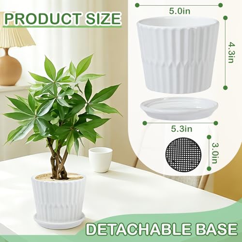 sietpoek 5.5” Ceramic Plant Pots with Drainage and Saucer 4PCs White - size: 5.5 Inch